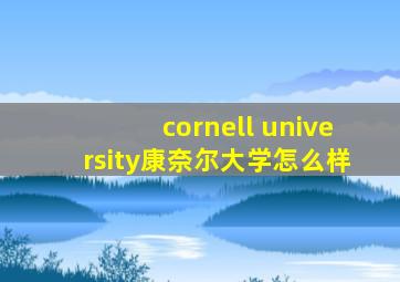 cornell university康奈尔大学怎么样